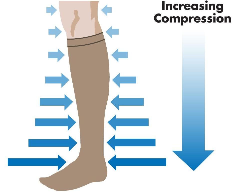 Secondary Elasticity Venous Thrombosis Varicose Compression